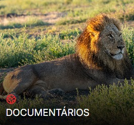 Canais de documentários